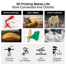 5KG PLA & PLA+ Filament Bundle – 1.75mm (5 Rolls x 1KG) | Printin3D.co