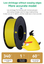 10KG PLA & PETG Filament Bundle – 1.75mm (10 Rolls x 1KG) | Printin3D.co