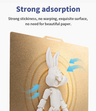 Double-Sided Magnetic PEI Build Plate – Spring Steel Sheet, Textured Surface, Multiple Sizes for Ender 3, CR10, P1P, and More | Printin3D.co